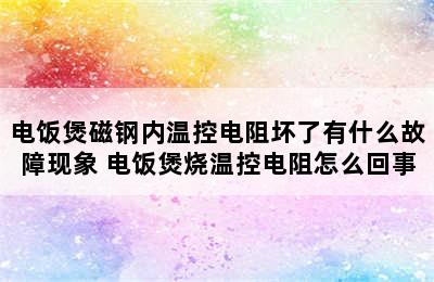 电饭煲磁钢内温控电阻坏了有什么故障现象 电饭煲烧温控电阻怎么回事